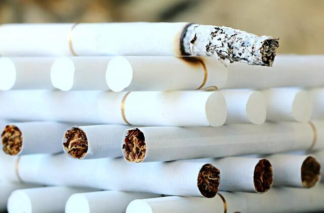 Kiek mokesčių prarandama dėl prekybos nelegaliais rūkalais