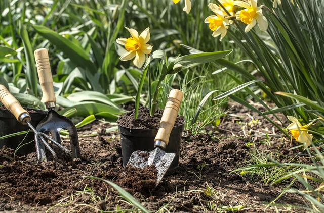 Pavasario darbai: kaip paruošti sodą augimo sezonui?