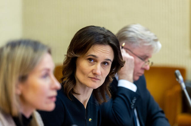 Čmilytė-Nielsen sieks dar vieną kadenciją vadovauti Liberalų sąjūdžiui