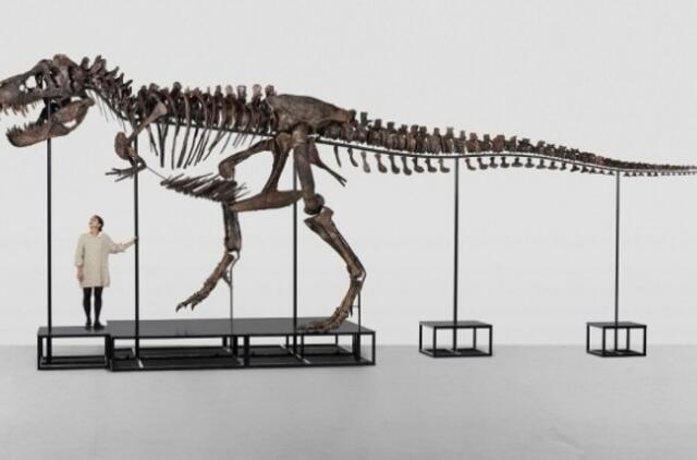 Dinozauro skeletas