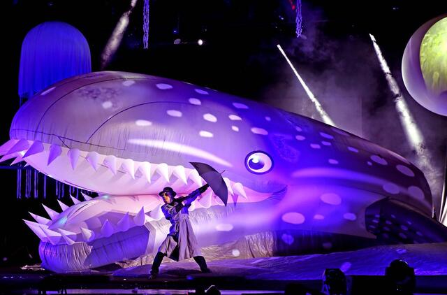 The Underwater Bubble Show