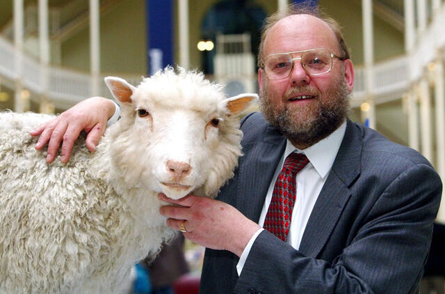 Būdamas 79-erių mirė mokslininkas, vadovavęs komandai, sukūrusiai klonuotą avį Doli