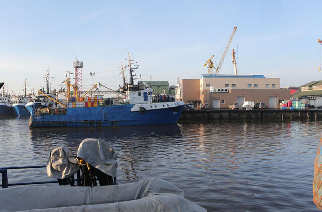 SITUACIJA. Jeigu reikalai klostysis taip ir toliau, žvejų uostelyje Klaipėdoje gali nebelikti nė vieno žvejybos laivo. Asociatyvi Egidijaus JANKAUSKO nuotr.