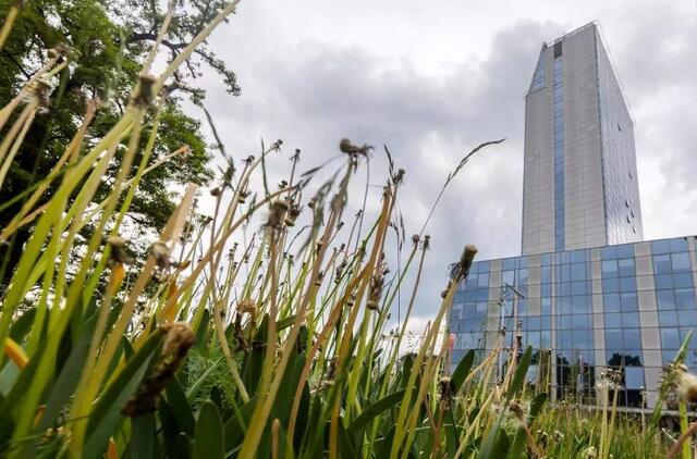 Vilniaus miesto savivaldybėje darbo netektų iki kelių šimtų valdininkų