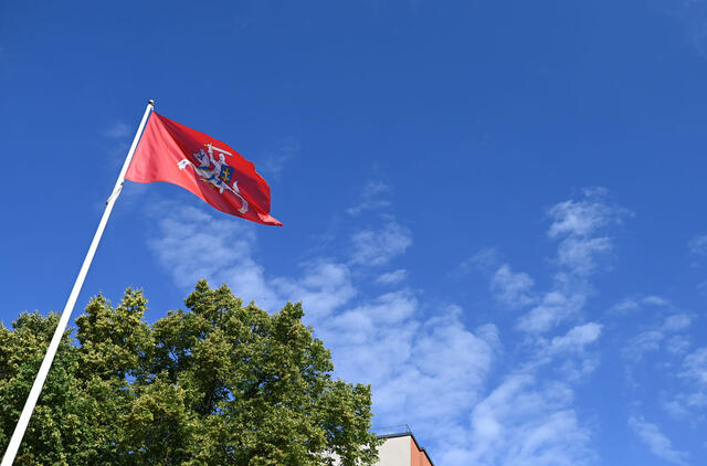 Parlamentarams bus pateikta iniciatyva kelti istorinę vėliavą pasienio punktuose