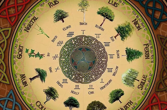 Druidų horoskopas