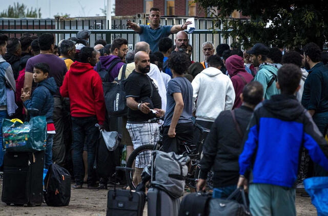 migrantai, migracija