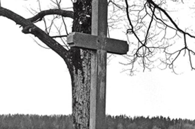 Memorialinis kryžius Liaudinskių sodybvietėje giminei atminti (pastatytas 1914 m.).  Fot. Julius Kanarskas, 1991 m. 
