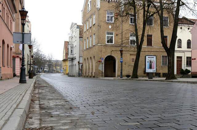 PATVIRTINO. Po pakartotinių seniūnaičių rinkimų patvirtinti 12 apylinkių seniūnaičiai. Vitos JUREVIČIENĖS nuotr.