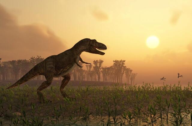 Dinozaurai