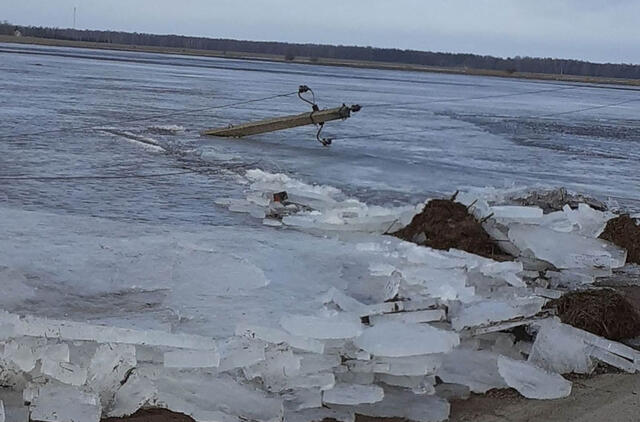 STICHIJA. Savaitgalį kelias į Mingę buvo užverstas ledais ir apsemtas. O stipraus vėjo išjudintas pievas kaustęs ledas išvertė elektros stulpus bei po kelią ištampė elektros laidus, palikdamas visą kaimą be elektros. Inos ŠTILIENĖS nuotr.