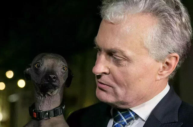 Gitanas Nausėda ir šuniukas Grikis