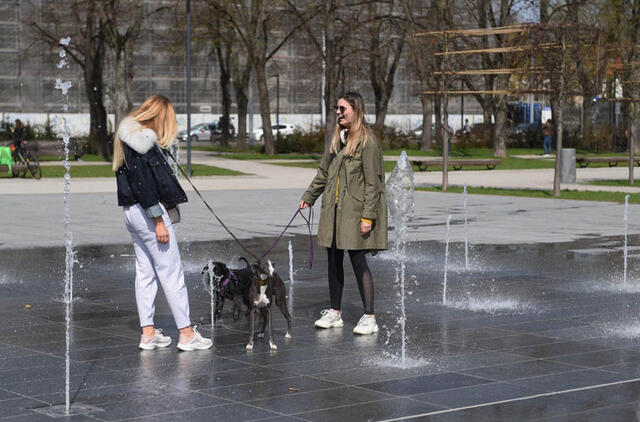 NEPAVYKS. Lietuvos įstatymai neleidžia užgyvento turto palikti mylimam augintiniui, testamente galima tik paprašyti paveldėtoją juo pasirūpinti. Stasio ŽUMBIO nuotr.