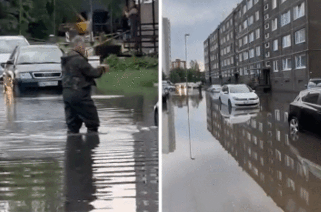 Liūtis Klaipėdoje