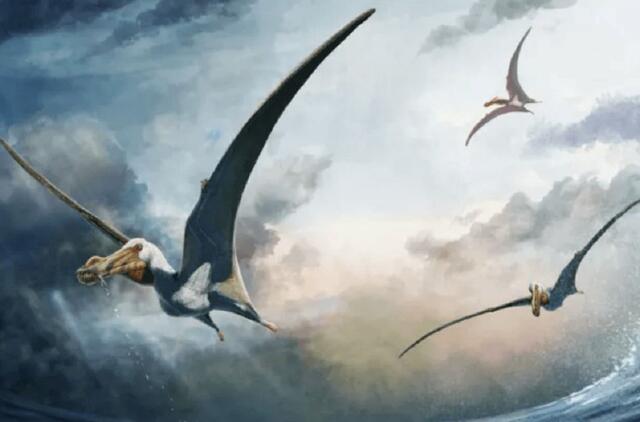 Pterozaurai