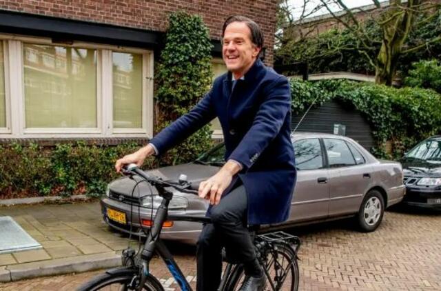 Markas Rutte