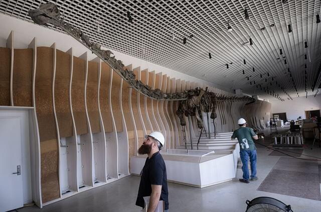 Dinozaurų fosilijos