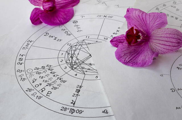 Dienos horoskopas 12 Zodiako ženklų