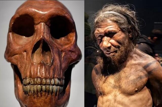 Neandertalietis