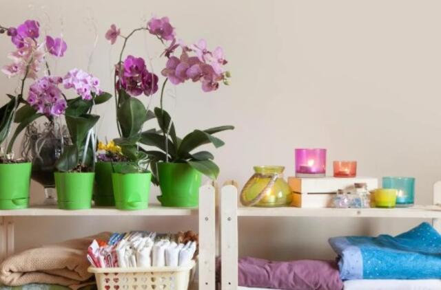 ua.depositphotos.com