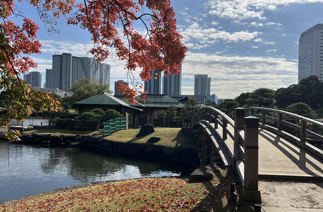 iš Japonijos grįžęs Saulius Mickus