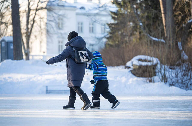 pramogas ant Birutės parko tvenkinio