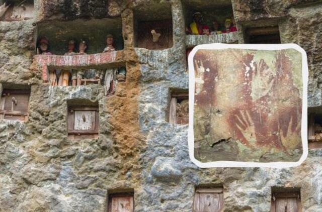 Sulavesio salos urvuose rasti nauji uolų piešiniai