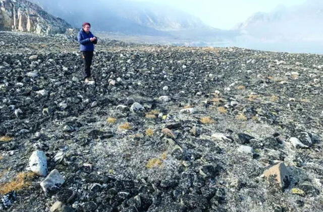 Arkties gyventojai įveikė vandenyną ir pasiekė Grenlandiją