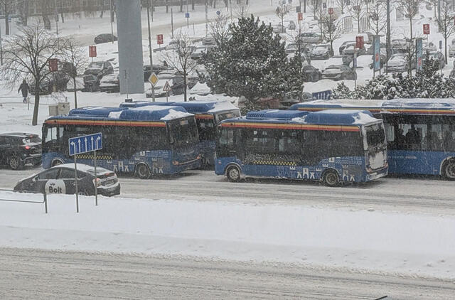 Autobusai, sniegas, žiema