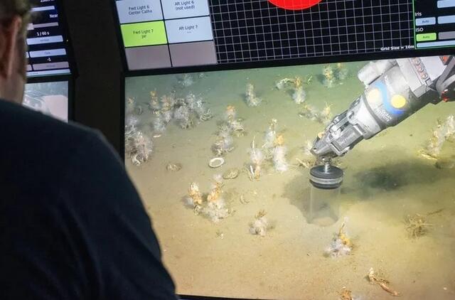 Mokslininkai surinko terabaitus mikrobų DNR