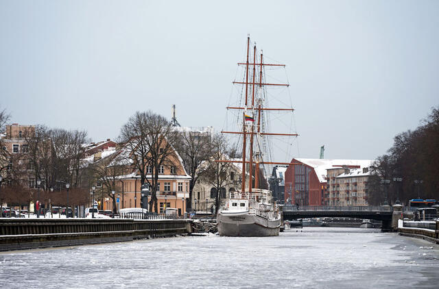Pasaulio sveikatos organizacija, Klaipėda