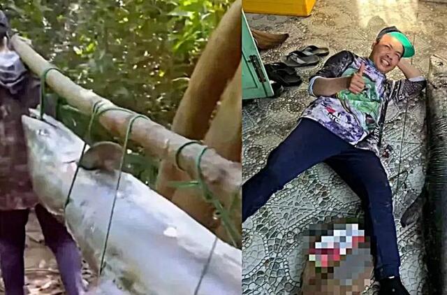 Ištraukė žmogaus dydžio skumbrę