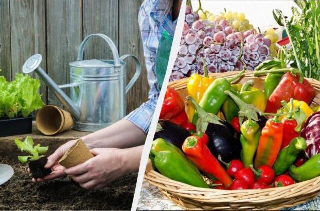 Mėnulio kalendorius