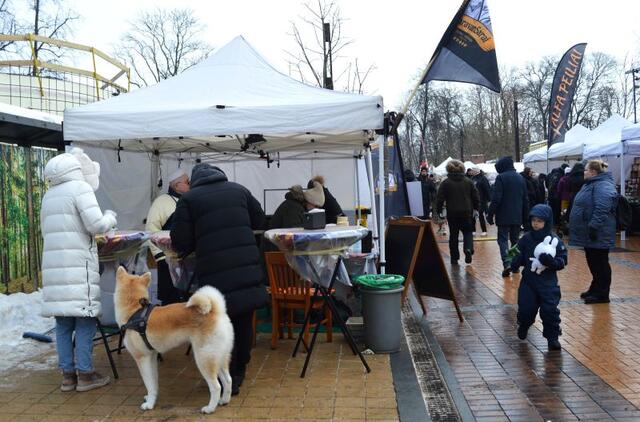 Palangos stinta 2026