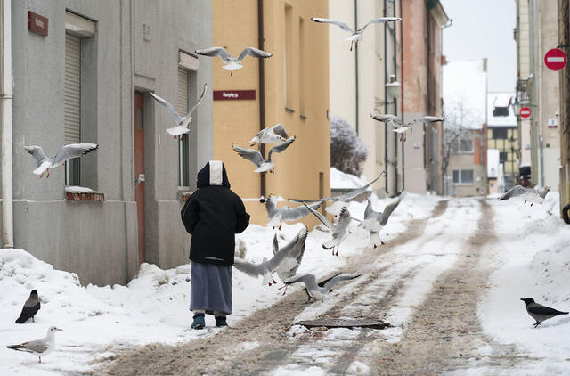 laukiniais paukščiais