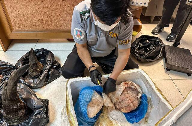 Raganosio ragų kontrabanda