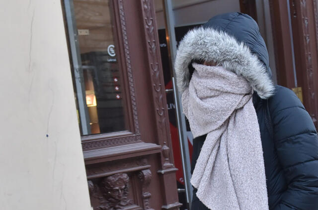 Šaltis, žiema, moteris