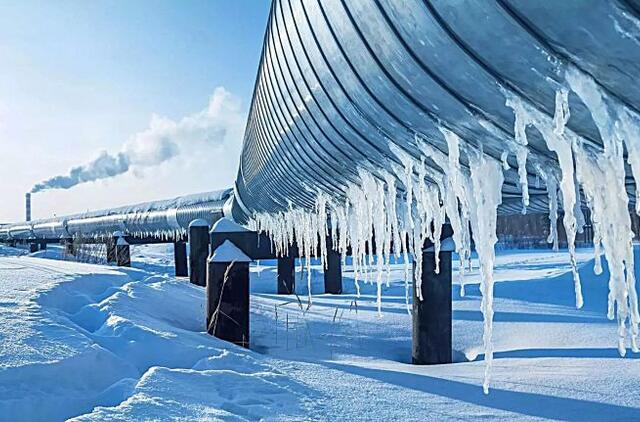 Šaltis sukaustė Lietuvą