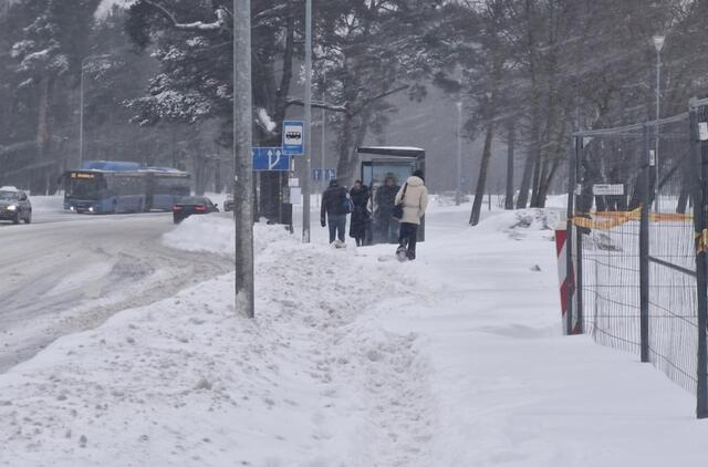 Sniegas, Klaipėda, pėstieji