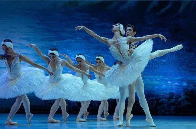 Spektaklis „Gulbių ežeras“