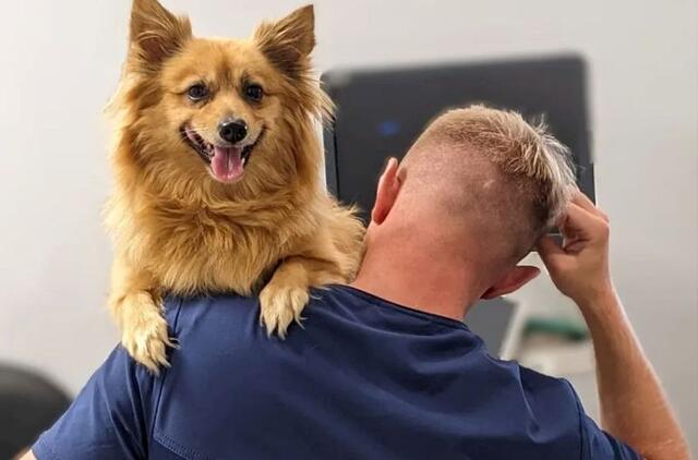 Vilniuje atidarytas pirmasis Baltijos šalyse veterinarijos stomatologijos centras