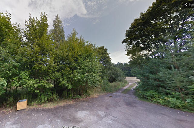 Palanga, Vytauto gatvė