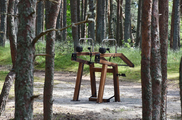 medžio karkaso treniruokliai