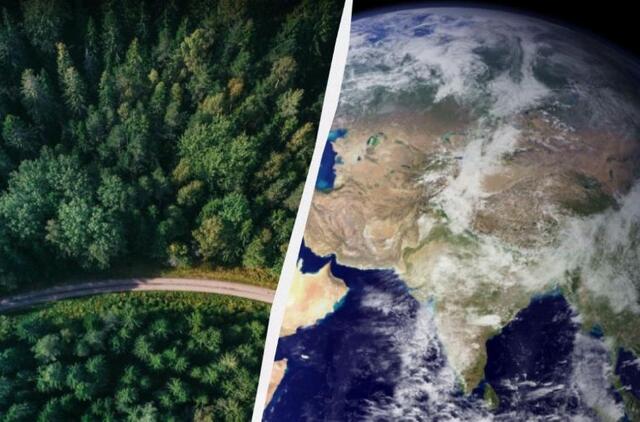 Žemės augmenija palaipsniui slenka į šiaurės rytus