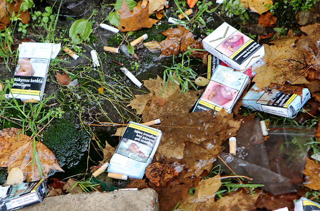 cigaretes siukslinimas