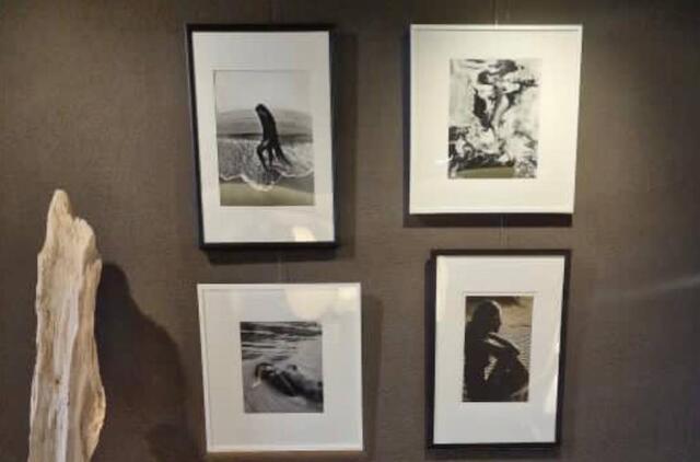 Fotografijos, paroda