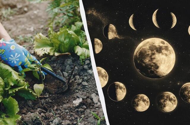 Mėnulio kalendorius