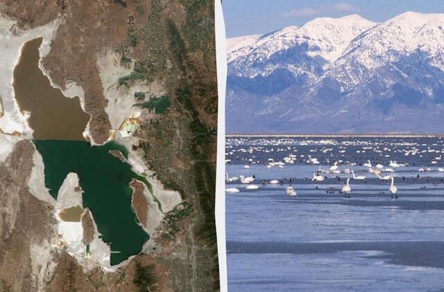 Druskos ežeras Jutoje