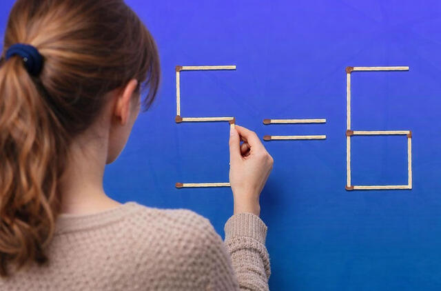 Smegenų mankšta su degtukais