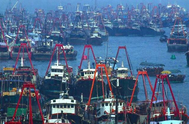 Kinijos žvejybos laivynas